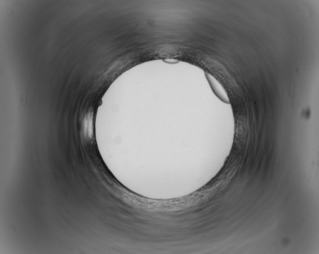 X0000097980046200804211049