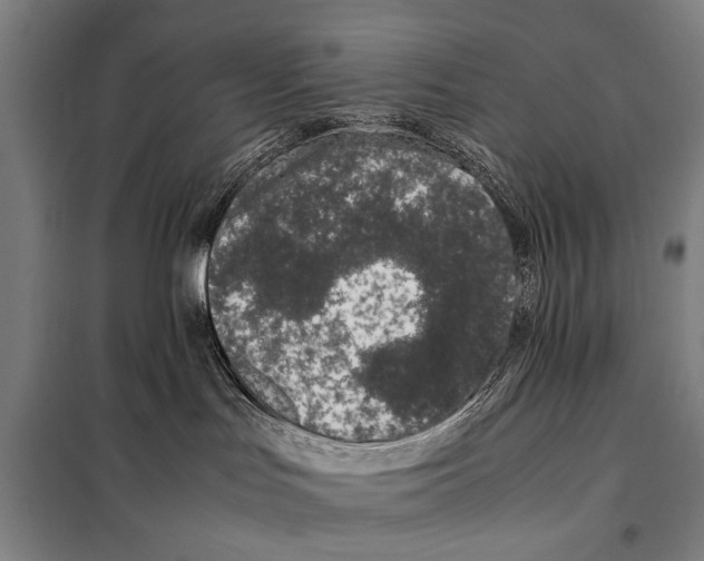 X0000097980047200804211049