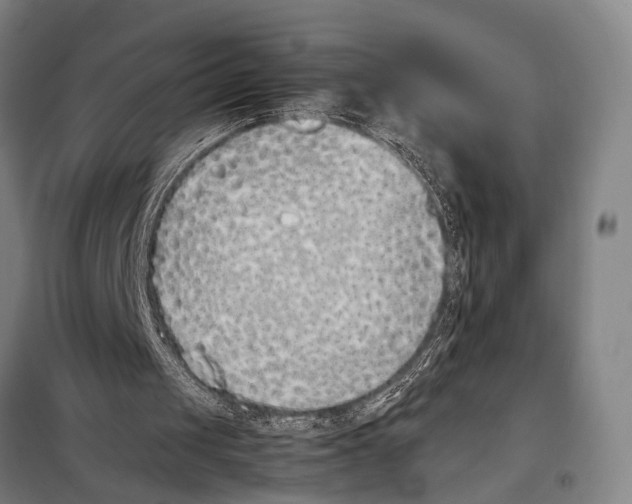 X0000097980049200804211048