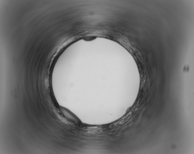 X0000097980050200804211048