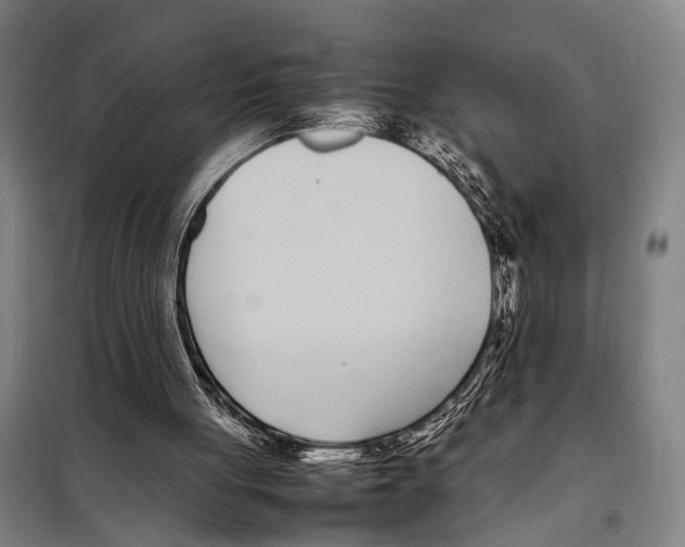 X0000097980051200804211048