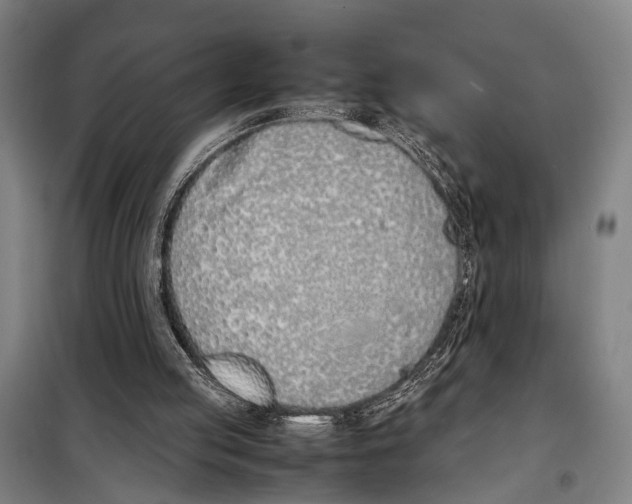 X0000097980053200804211048