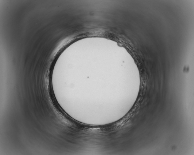 X0000097980054200804211048