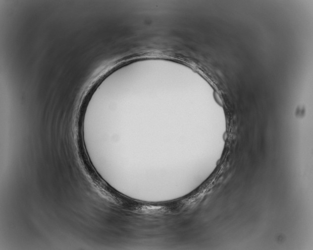 X0000097980055200804211048