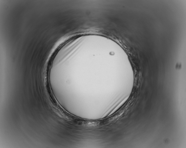 X0000097980056200804211048