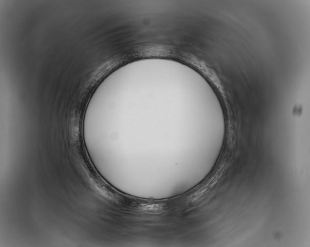 X0000097980057200804211048