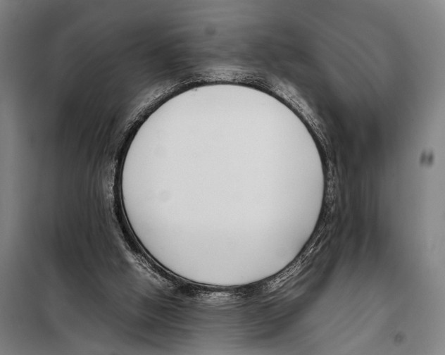 X0000097980058200804211048