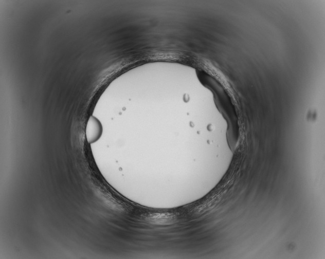 X0000097980059200804211048