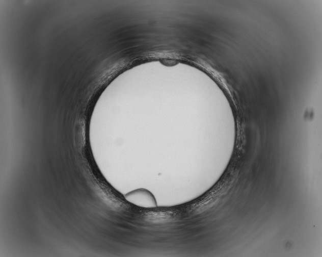 X0000097980061200804211049