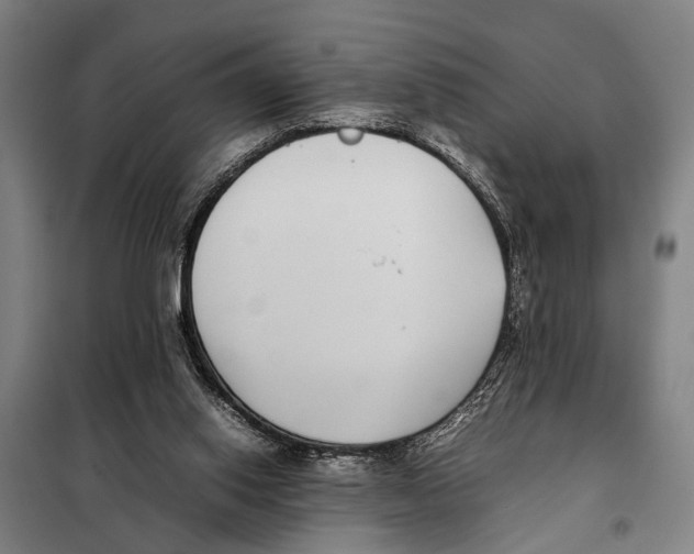 X0000097980062200804211049