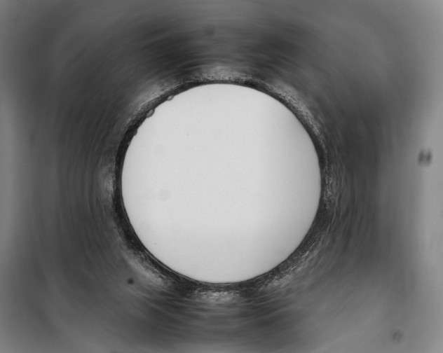 X0000097980063200804211049