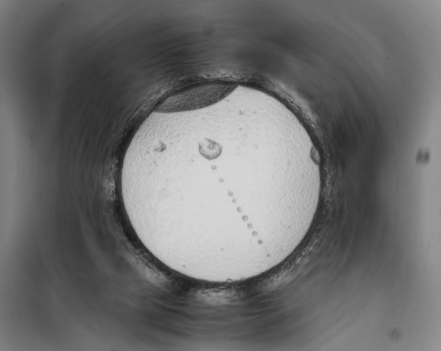 X0000097980065200804211049