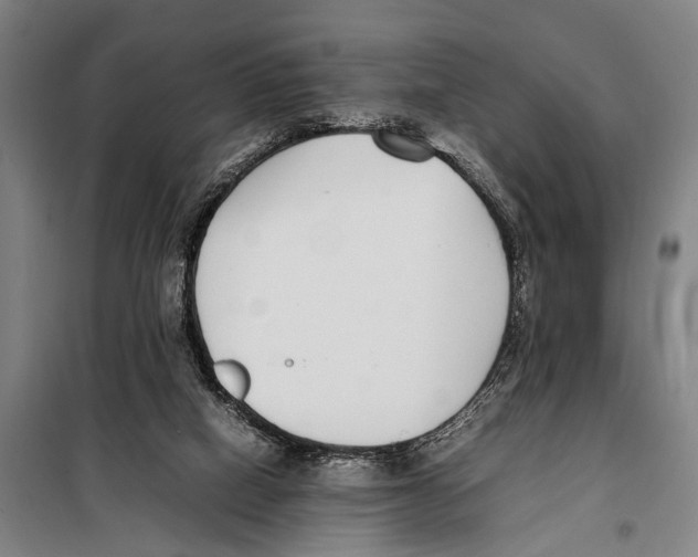 X0000097980066200804211049