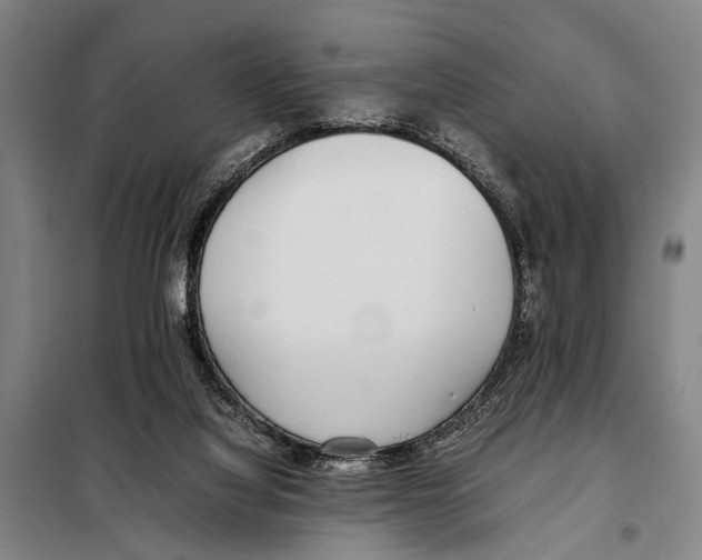 X0000097980068200804211049