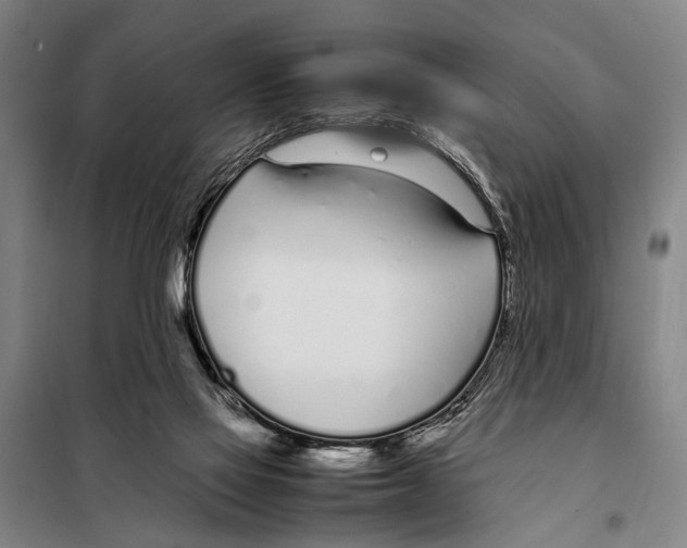 X0000097980069200804211049