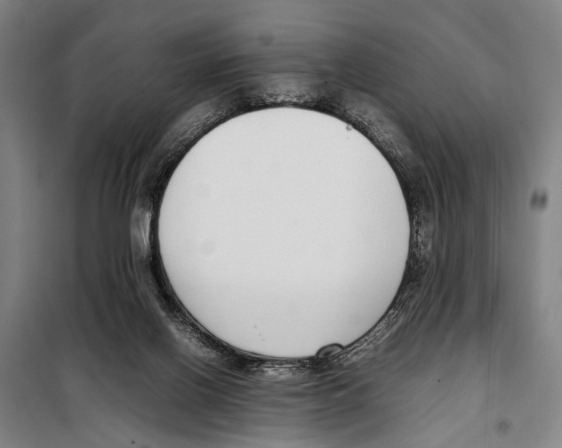 X0000097980070200804211049