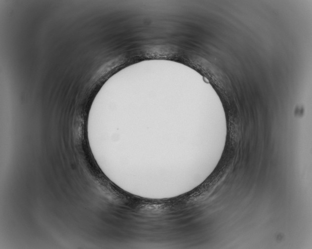 X0000097980071200804211049