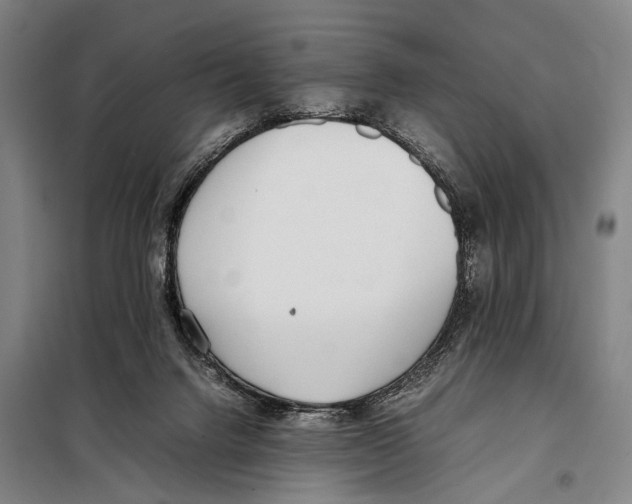 X0000097980072200804211049