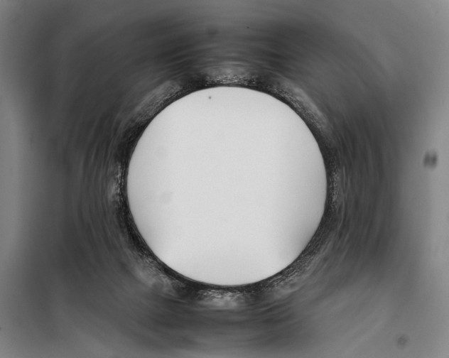 X0000097980073200804211049