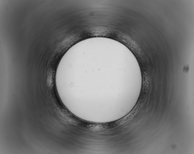 X0000097980074200804211049