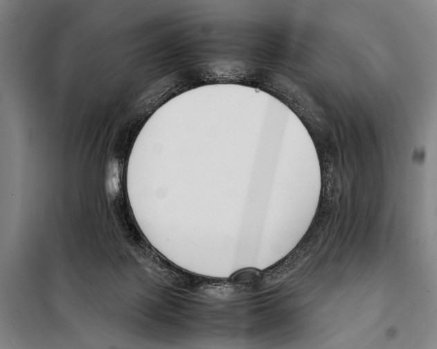 X0000097980075200804211049