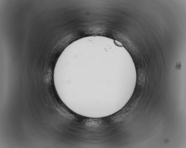 X0000097980077200804211049