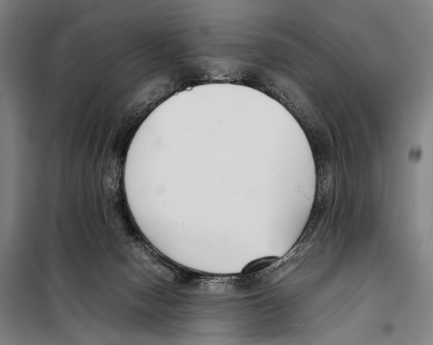 X0000097980078200804211049