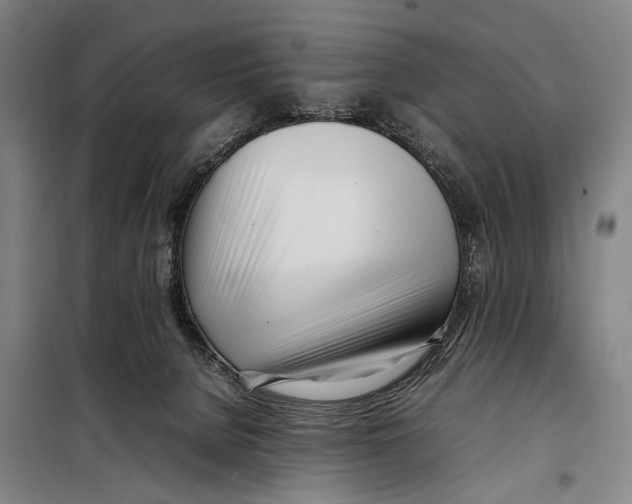 X0000097980080200804211049