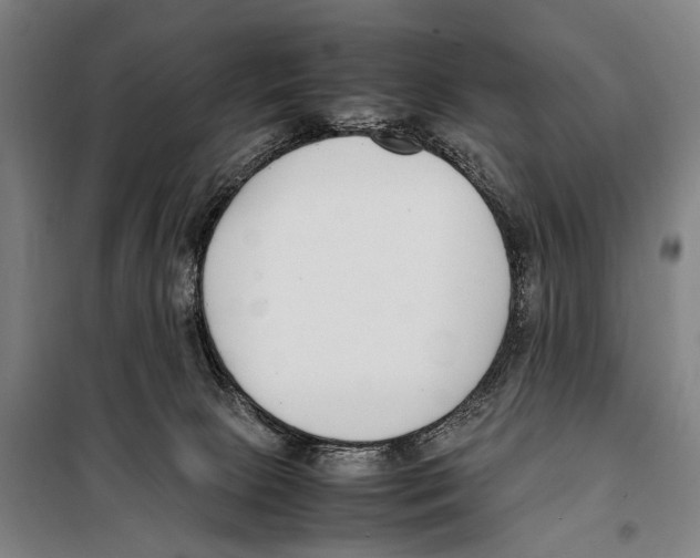 X0000097980081200804211049