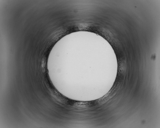 X0000097980082200804211049