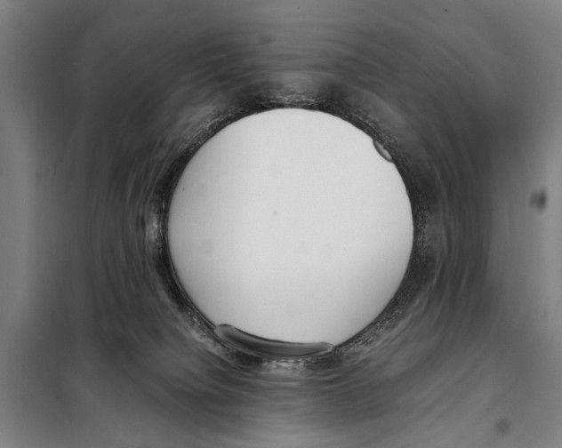 X0000097980084200804211049