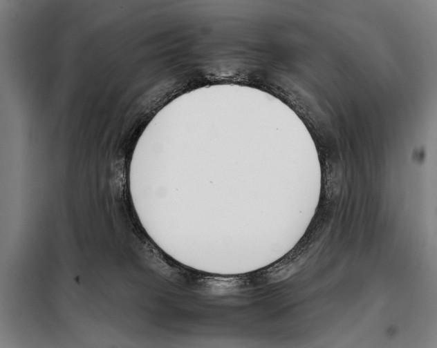 X0000097980085200804211049