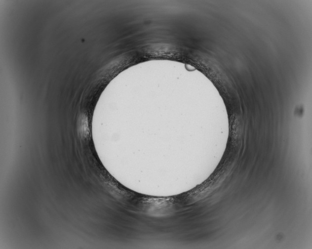 X0000097980089200804211049