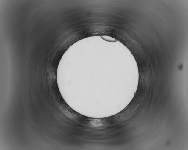 X0000097980091200804211049