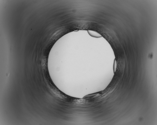 X0000097980092200804211049