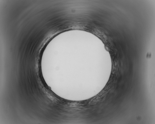 X0000097980098200804211048