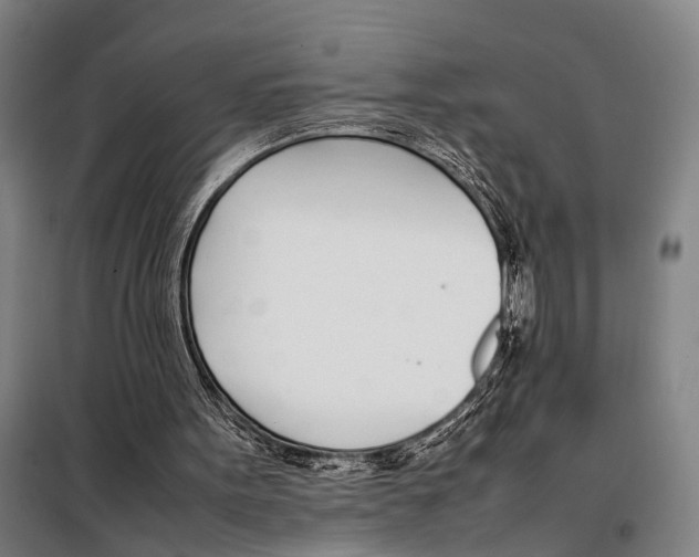 X0000097980099200804211048