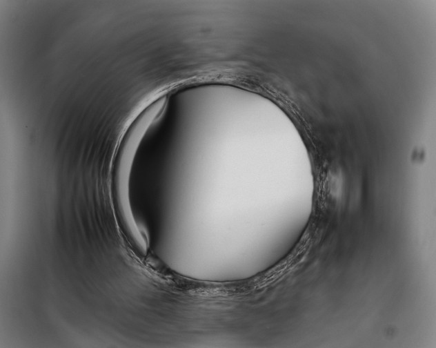 X0000097980100200804211048