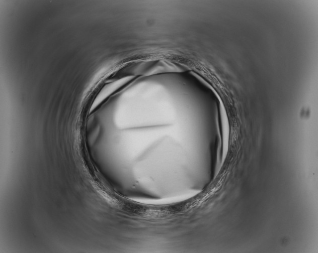 X0000097980101200804211048