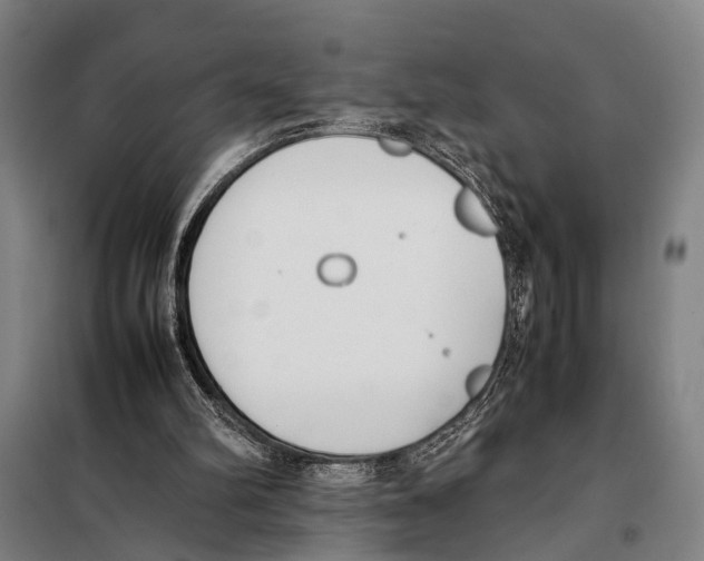 X0000097980102200804211048