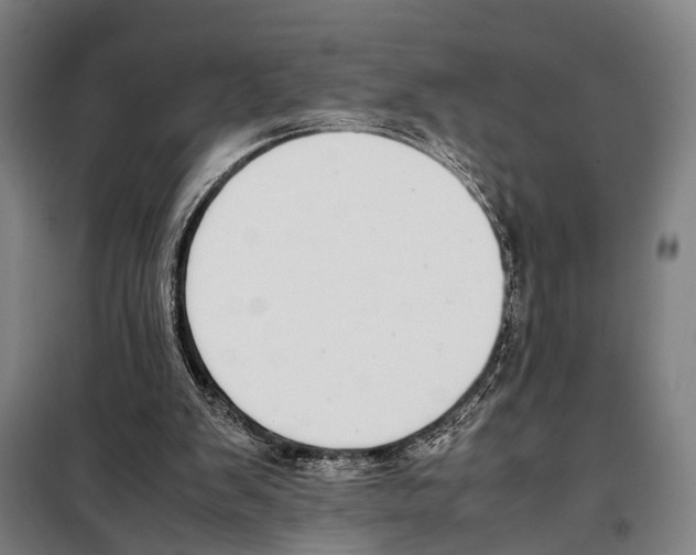 X0000097980103200804211048