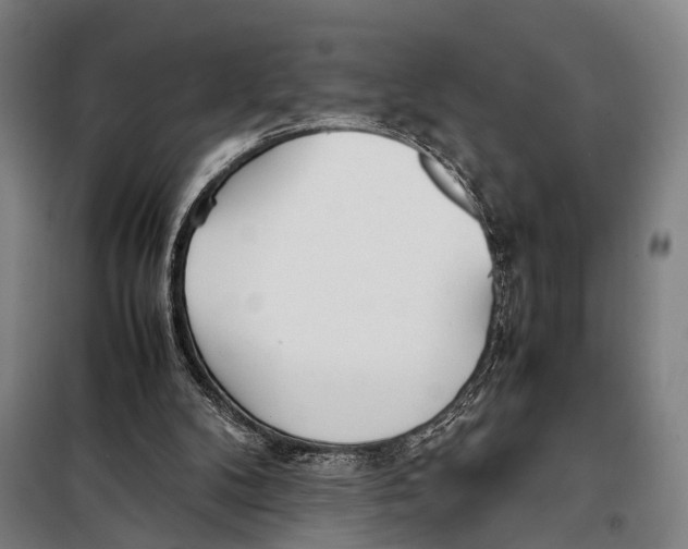 X0000097980104200804211048