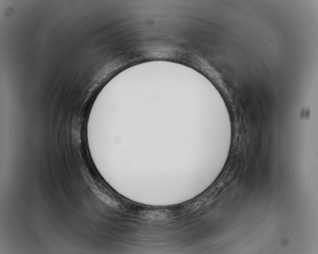 X0000097980106200804211048