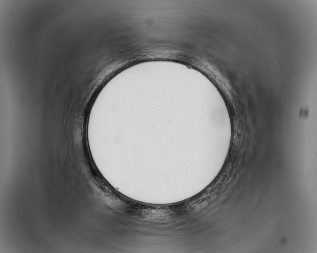 X0000097980107200804211048