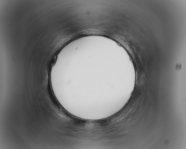 X0000097980109200804211048