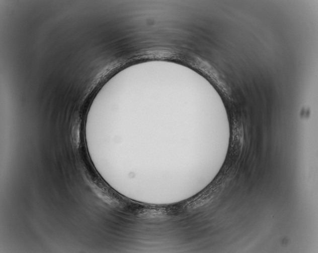 X0000097980110200804211048