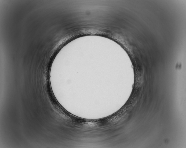 X0000097980111200804211048