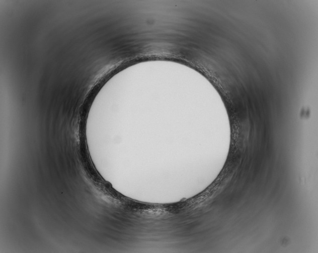 X0000097980112200804211048