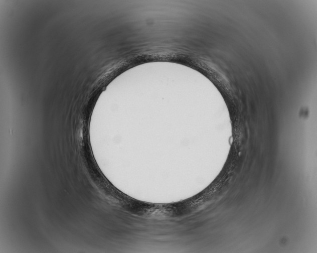 X0000097980115200804211048