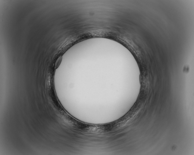 X0000097980117200804211048